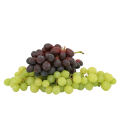vecteezy_grape-fruit-cutout_12629191 vecteezy_grape-fruit-cutout_12629191